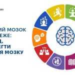 Здоровий мозок тіло береже: 10 порад, як зберегти здоров’я мозку Здоровий мозок тіло береже: 10 порад, як зберегти здоров’я мозку